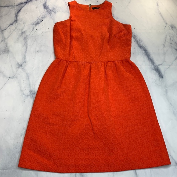 Cynthia Steffe Bright Orange Textured Dress - Picture 8 of 8